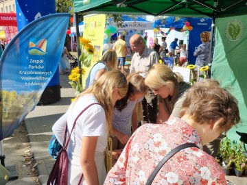 46. Święto Kwiatów, Owoców i Warzyw – relacja, 